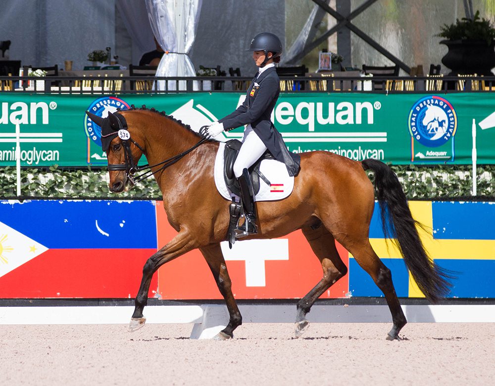 A female equestrian, wearing black suit, white pants, and black boots
