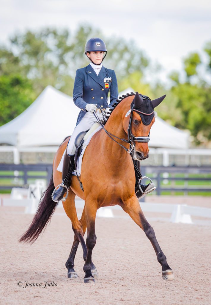 A female equestrian, wearing a blue suit, gray pants, and blue head protection while riding a brown horse