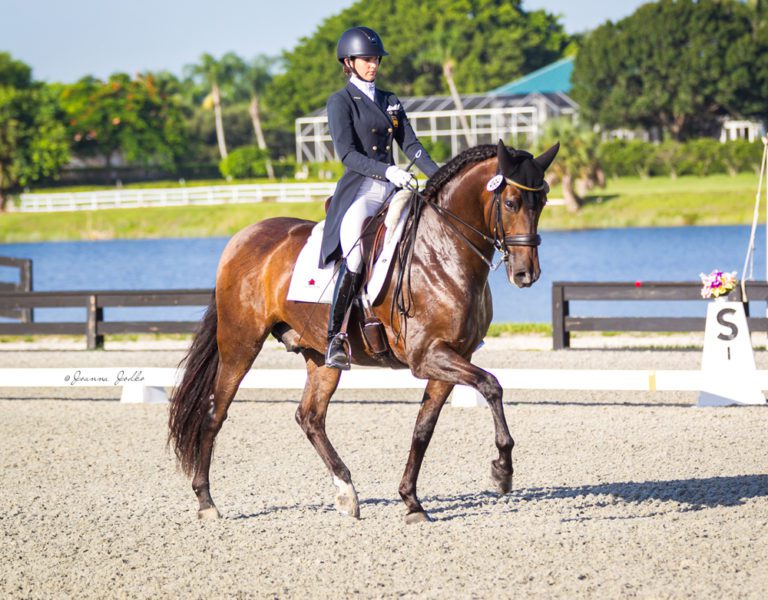 Home Competition Horses Legacy Farms of Jupiter