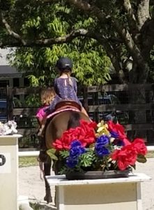 A child siting on a horse back with flowers behind them