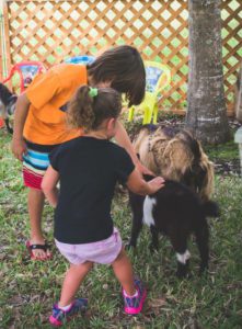 Two children petting goats in a yard